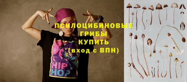 спиды Дмитровск