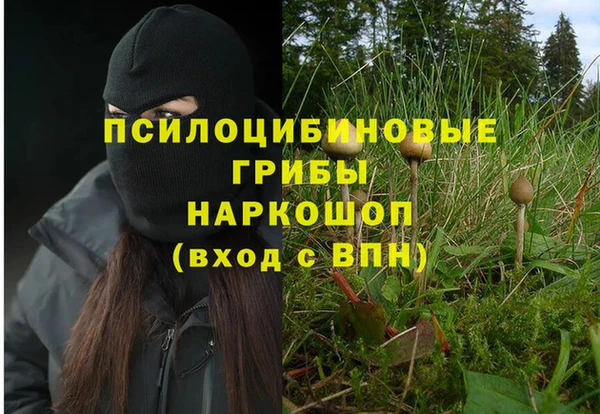 спиды Дмитровск