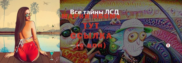 хмурый Дмитриев
