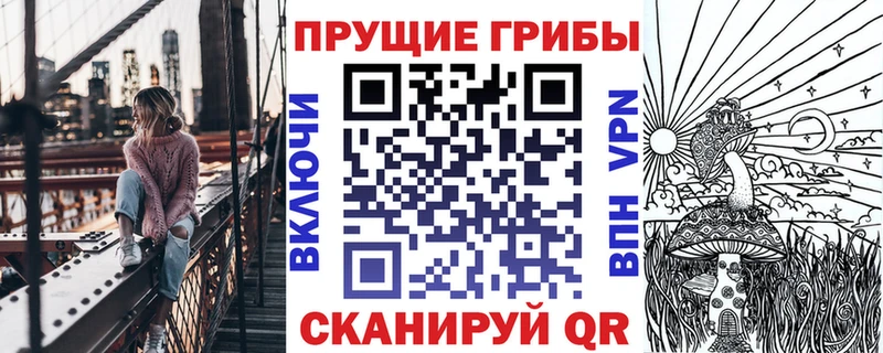 как найти закладки  Сенгилей  Псилоцибиновые грибы Magic Shrooms 