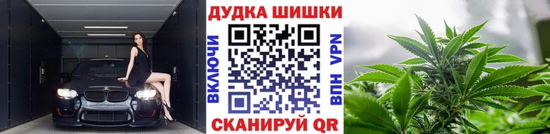 Бошки Шишки планчик  наркошоп  Сенгилей 